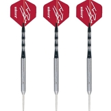 25g Unicorn Terry Jenkins Smooth silber Natural Tungsten Darts Set - 1