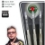 BULL'S Champions Tomas Seyler Soft Dart Typ: 18 Gr. - 2