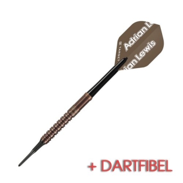 Dartset 