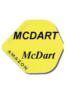 Raymond van Barneveld Silver Star Soft Tip Dart 19g+McDart®Flights - 2