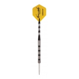 Unicorn James Wade 20g Tungsten Darts Set, Phase 2 Silber Natural - 1